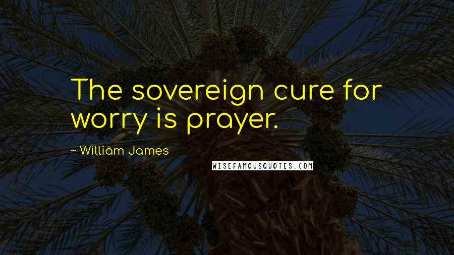 William James Quotes: The sovereign cure for worry is prayer.
