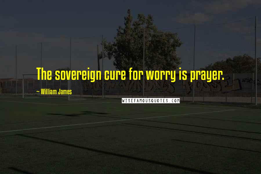 William James Quotes: The sovereign cure for worry is prayer.