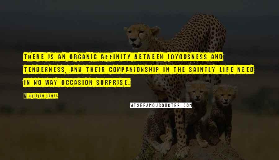 William James Quotes: There is an organic affinity between joyousness and tenderness, and their companionship in the saintly life need in no way occasion surprise.