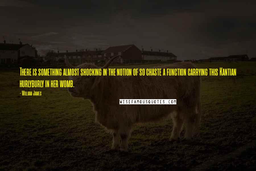 William James Quotes: There is something almost shocking in the notion of so chaste a function carrying this Kantian hurlyburly in her womb.