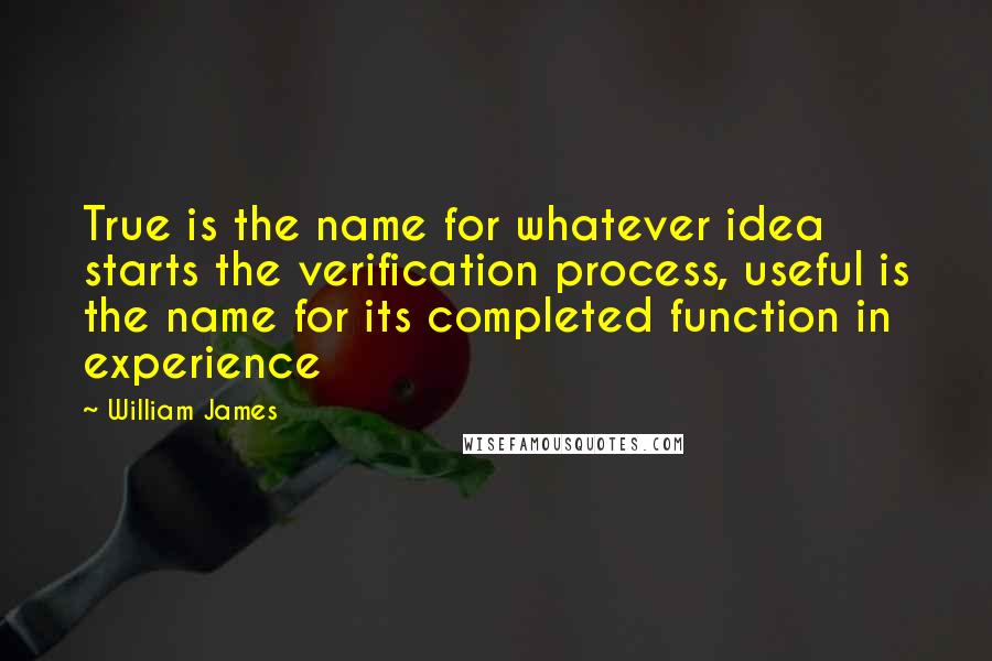 William James Quotes: True is the name for whatever idea starts the verification process, useful is the name for its completed function in experience