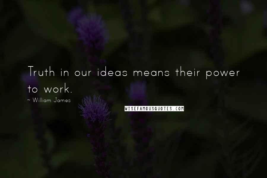 William James Quotes: Truth in our ideas means their power to work.