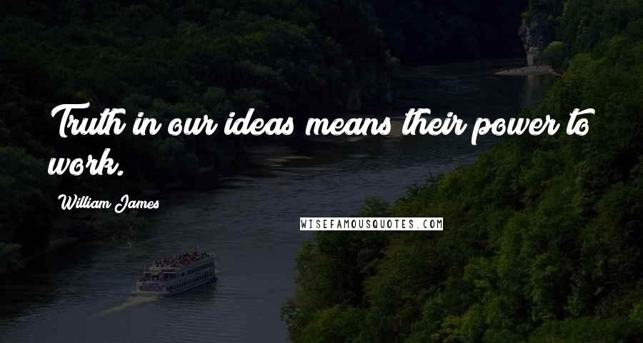 William James Quotes: Truth in our ideas means their power to work.