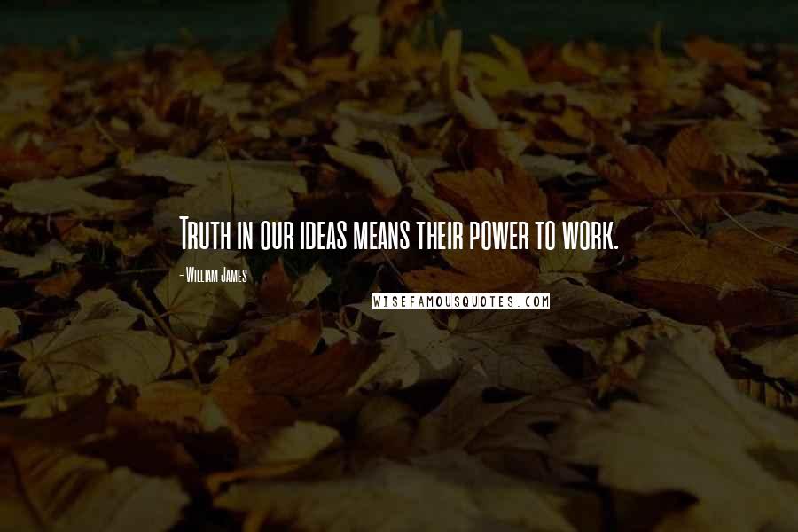 William James Quotes: Truth in our ideas means their power to work.