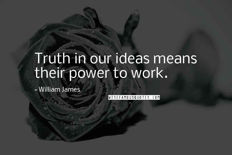 William James Quotes: Truth in our ideas means their power to work.