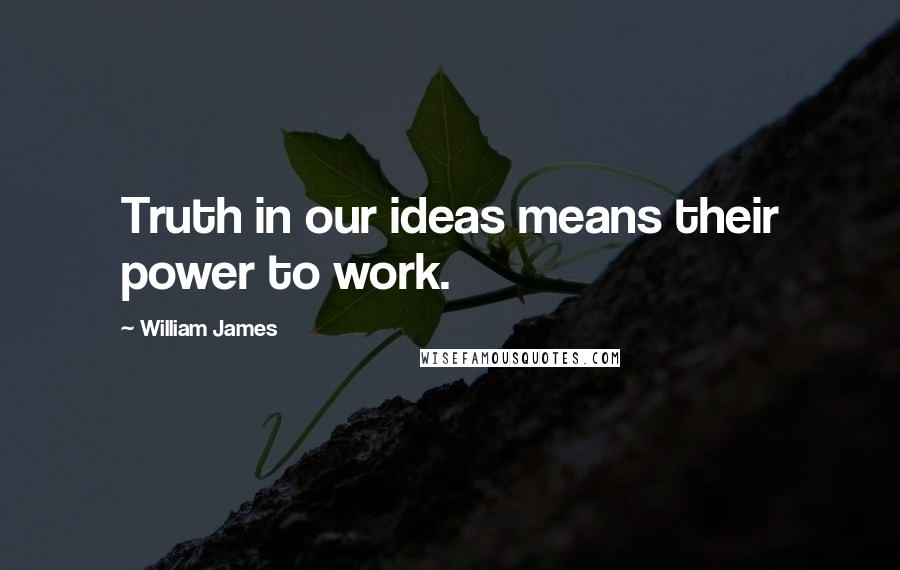 William James Quotes: Truth in our ideas means their power to work.