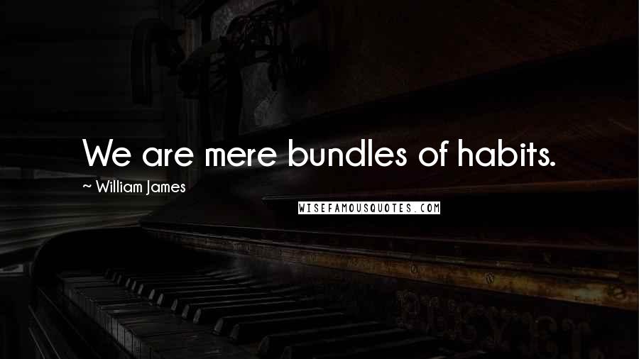William James Quotes: We are mere bundles of habits.