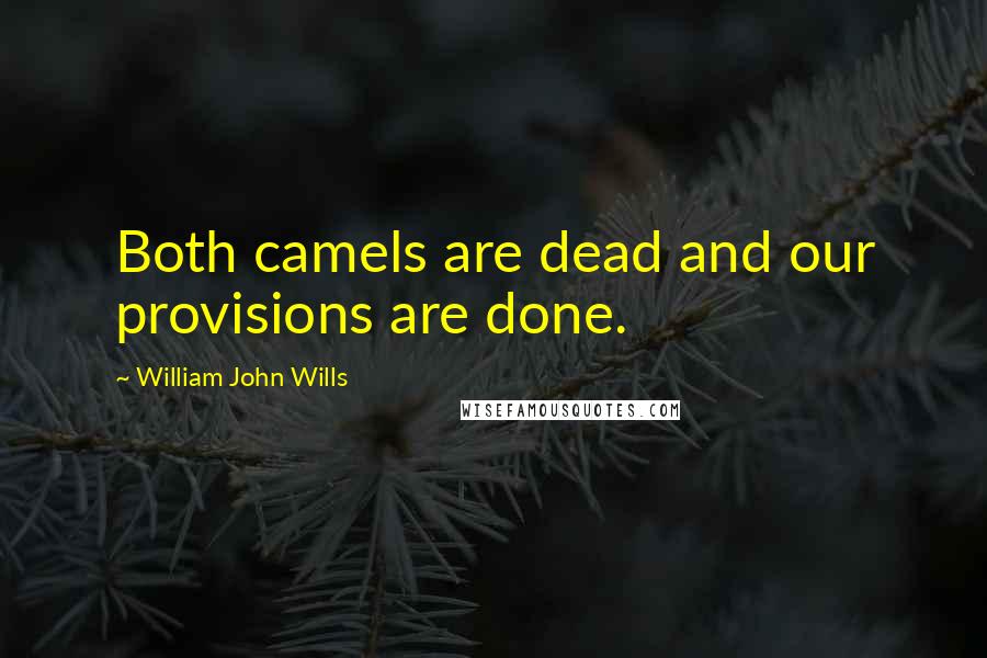 William John Wills Quotes: Both camels are dead and our provisions are done.