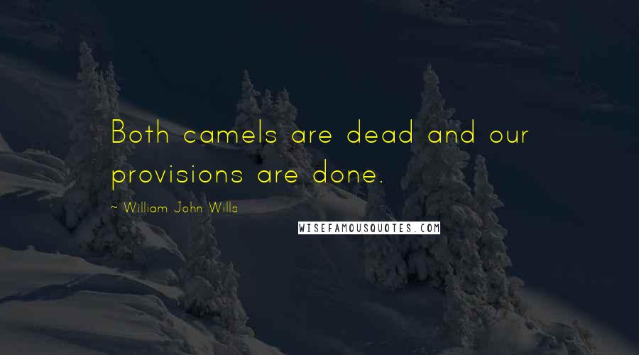 William John Wills Quotes: Both camels are dead and our provisions are done.