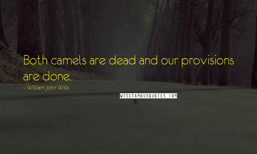 William John Wills Quotes: Both camels are dead and our provisions are done.