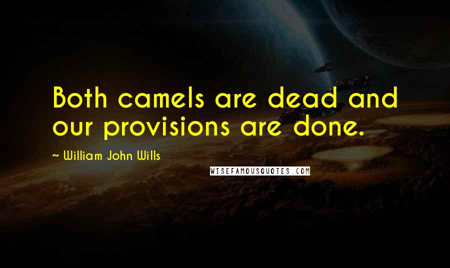 William John Wills Quotes: Both camels are dead and our provisions are done.