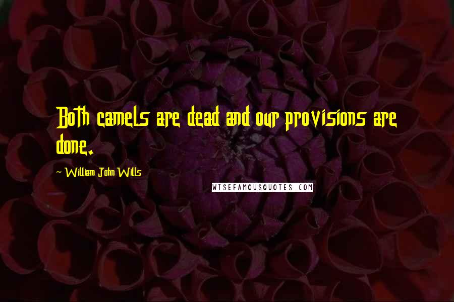 William John Wills Quotes: Both camels are dead and our provisions are done.