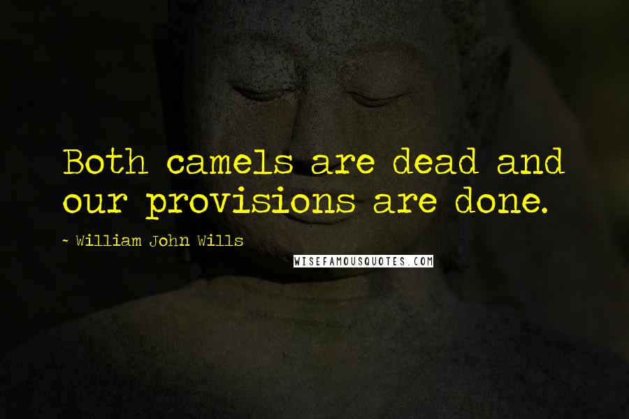 William John Wills Quotes: Both camels are dead and our provisions are done.