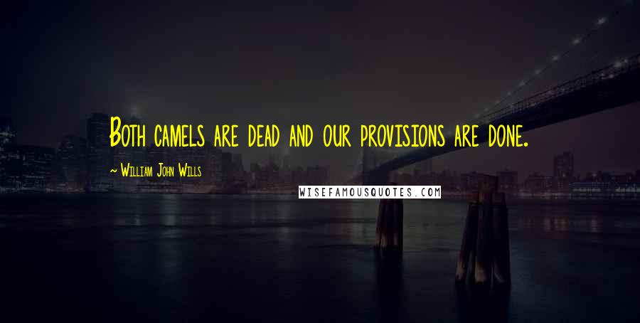 William John Wills Quotes: Both camels are dead and our provisions are done.