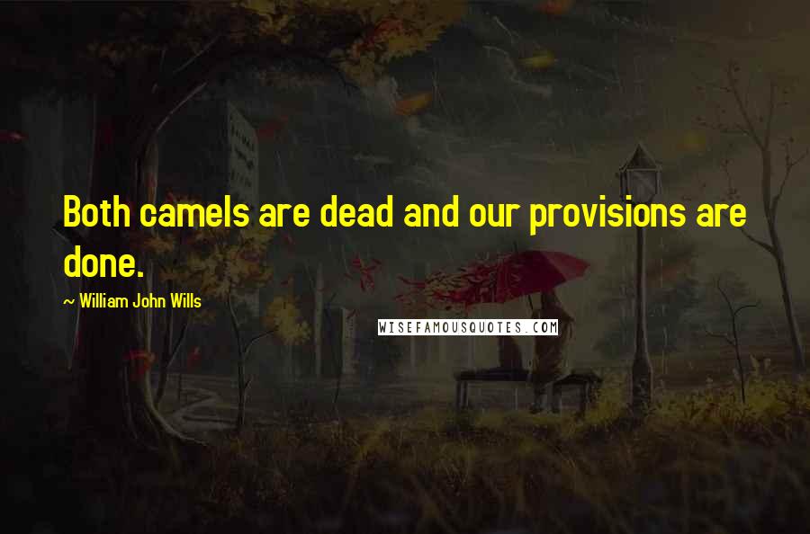 William John Wills Quotes: Both camels are dead and our provisions are done.