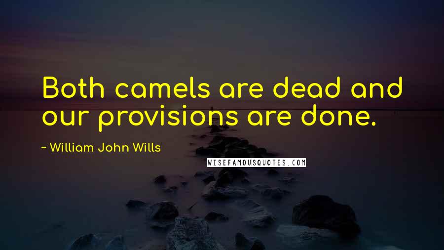 William John Wills Quotes: Both camels are dead and our provisions are done.