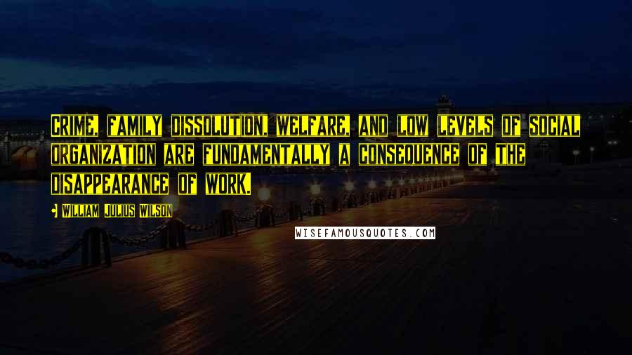 William Julius Wilson Quotes: Crime, family dissolution, welfare, and low levels of social organization are fundamentally a consequence of the disappearance of work.