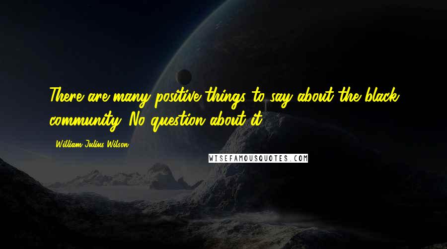 William Julius Wilson Quotes: There are many positive things to say about the black community. No question about it.
