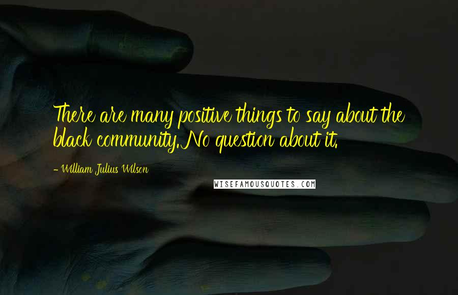 William Julius Wilson Quotes: There are many positive things to say about the black community. No question about it.