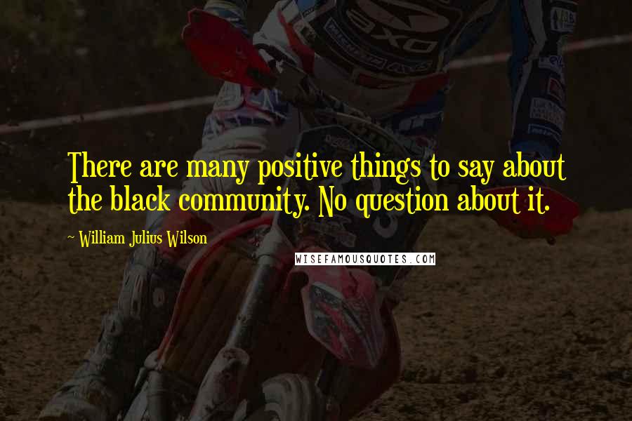 William Julius Wilson Quotes: There are many positive things to say about the black community. No question about it.