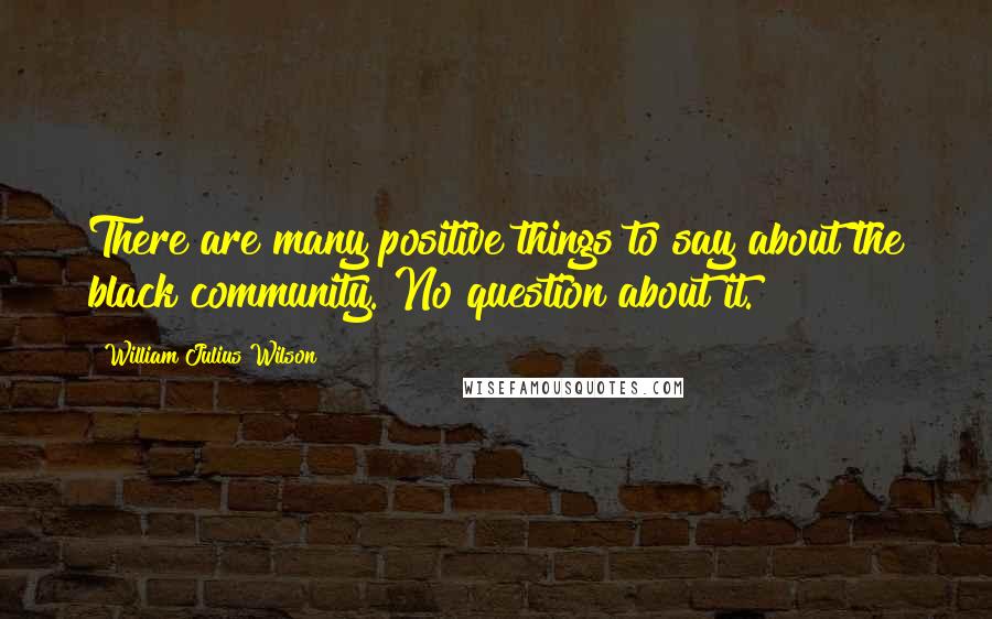 William Julius Wilson Quotes: There are many positive things to say about the black community. No question about it.