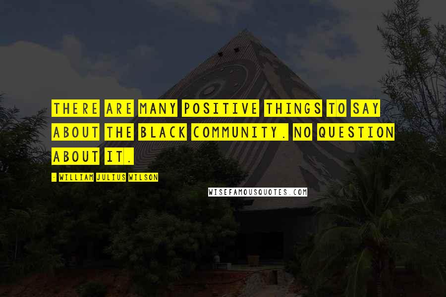 William Julius Wilson Quotes: There are many positive things to say about the black community. No question about it.