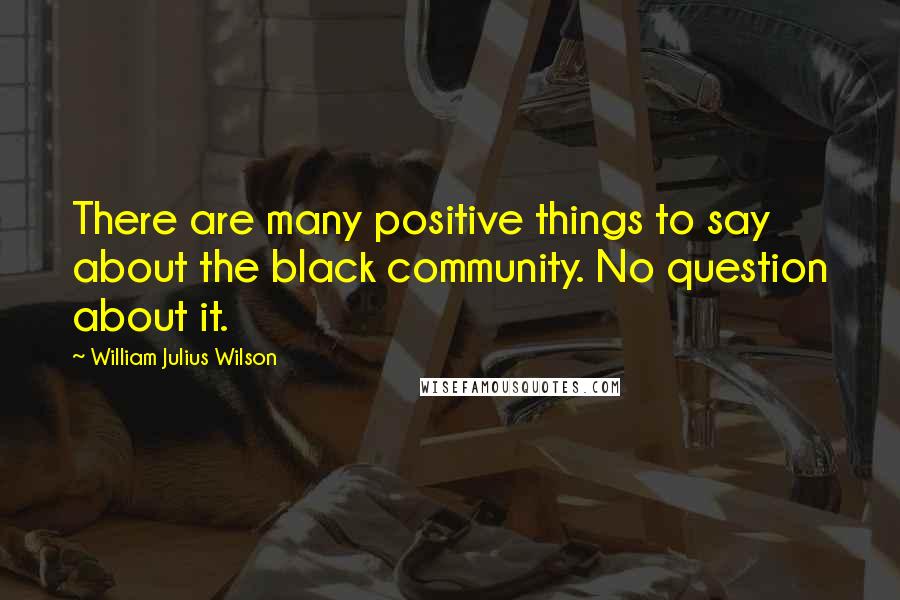 William Julius Wilson Quotes: There are many positive things to say about the black community. No question about it.