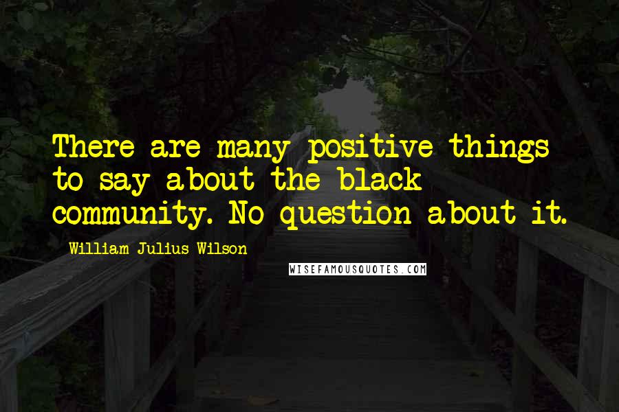 William Julius Wilson Quotes: There are many positive things to say about the black community. No question about it.