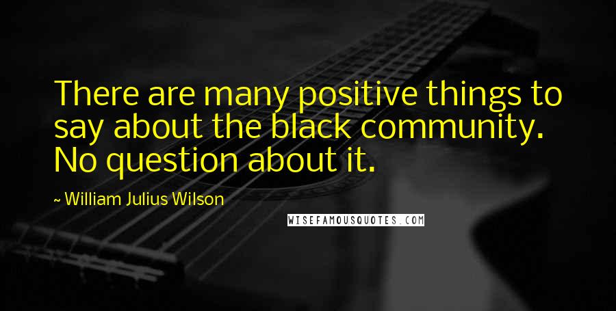 William Julius Wilson Quotes: There are many positive things to say about the black community. No question about it.