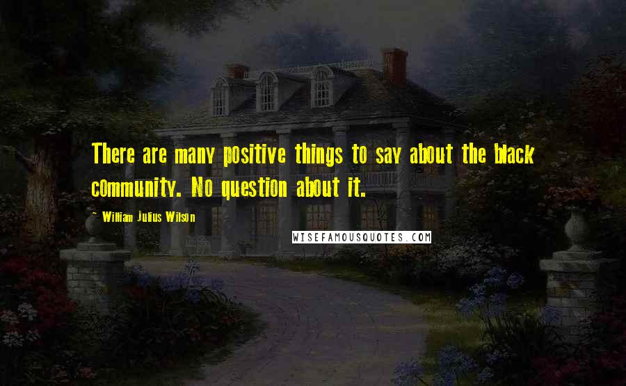 William Julius Wilson Quotes: There are many positive things to say about the black community. No question about it.