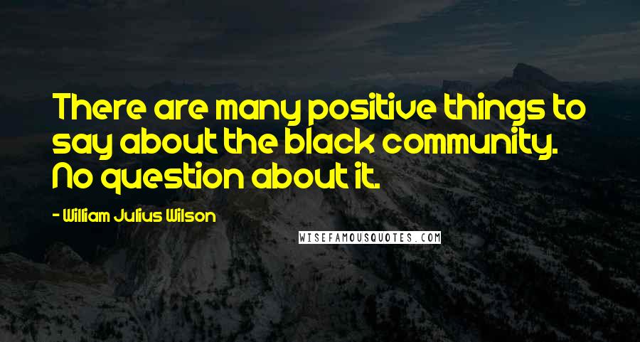 William Julius Wilson Quotes: There are many positive things to say about the black community. No question about it.