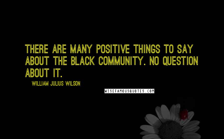 William Julius Wilson Quotes: There are many positive things to say about the black community. No question about it.