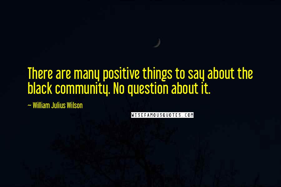 William Julius Wilson Quotes: There are many positive things to say about the black community. No question about it.