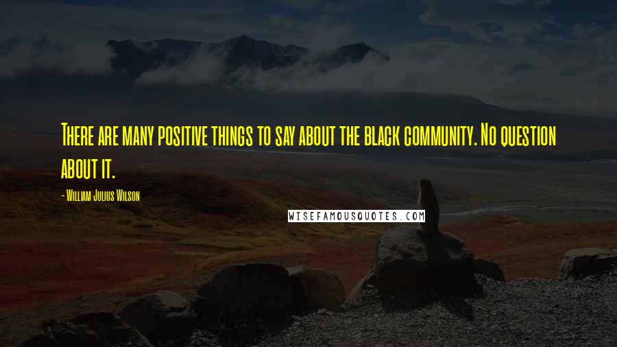William Julius Wilson Quotes: There are many positive things to say about the black community. No question about it.