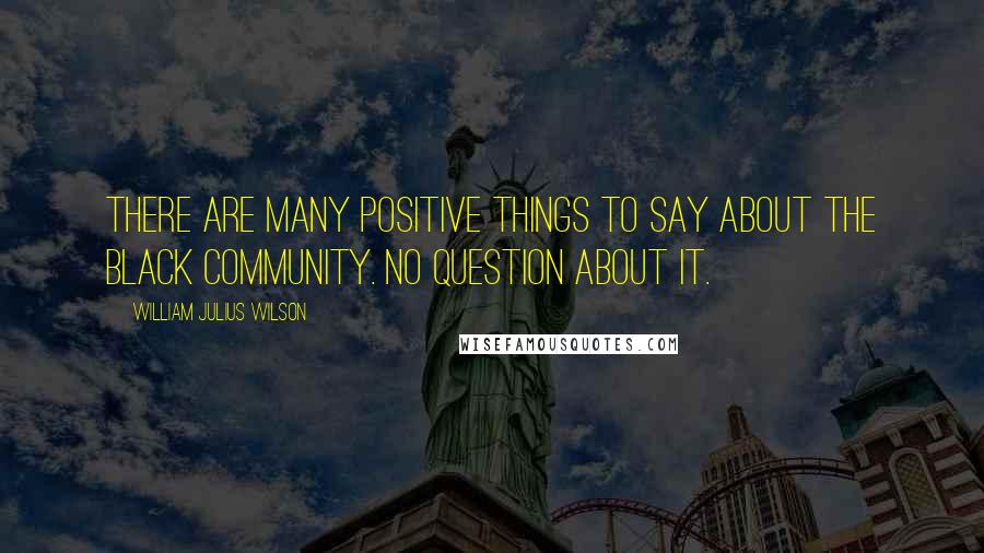 William Julius Wilson Quotes: There are many positive things to say about the black community. No question about it.