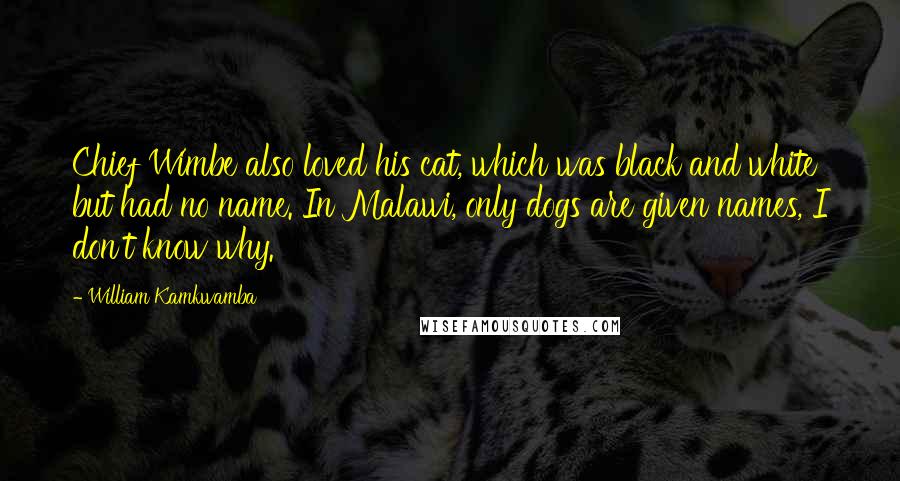 William Kamkwamba Quotes: Chief Wimbe also loved his cat, which was black and white but had no name. In Malawi, only dogs are given names, I don't know why.