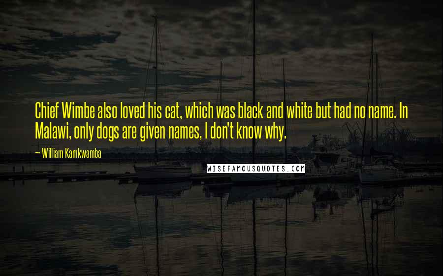 William Kamkwamba Quotes: Chief Wimbe also loved his cat, which was black and white but had no name. In Malawi, only dogs are given names, I don't know why.