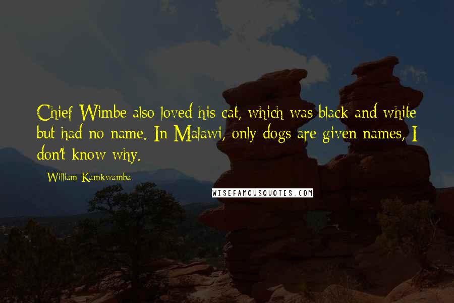 William Kamkwamba Quotes: Chief Wimbe also loved his cat, which was black and white but had no name. In Malawi, only dogs are given names, I don't know why.