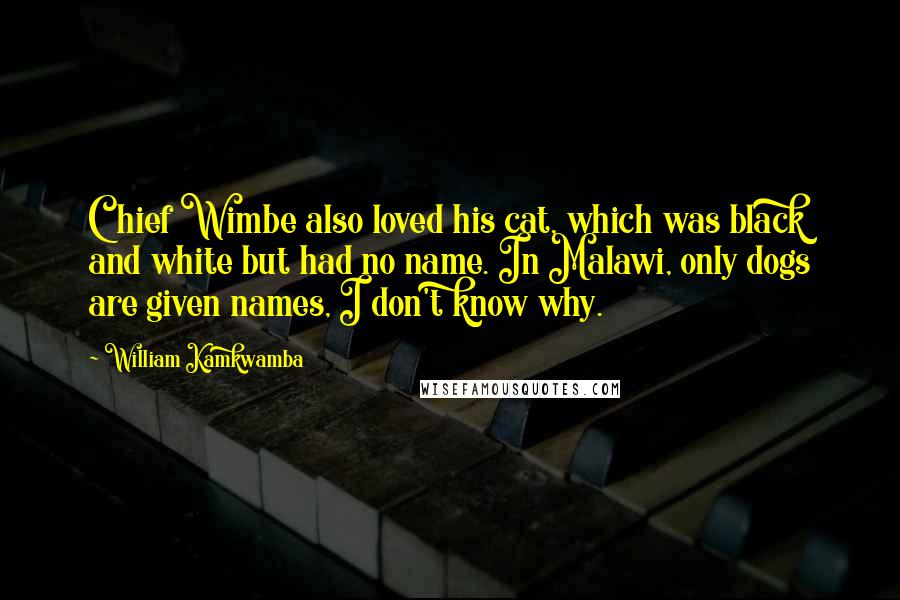 William Kamkwamba Quotes: Chief Wimbe also loved his cat, which was black and white but had no name. In Malawi, only dogs are given names, I don't know why.