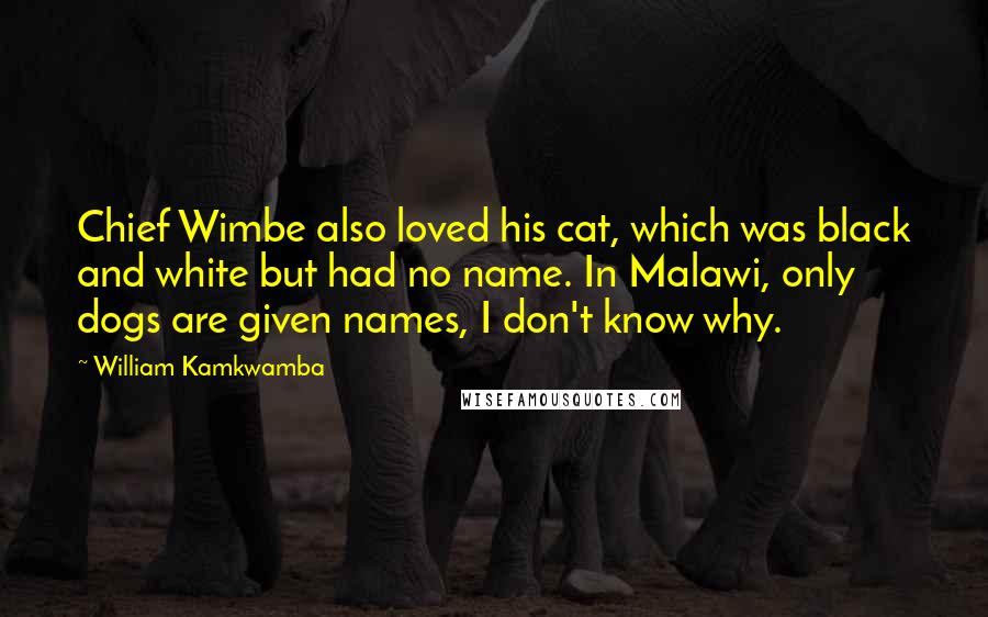 William Kamkwamba Quotes: Chief Wimbe also loved his cat, which was black and white but had no name. In Malawi, only dogs are given names, I don't know why.