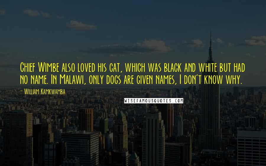 William Kamkwamba Quotes: Chief Wimbe also loved his cat, which was black and white but had no name. In Malawi, only dogs are given names, I don't know why.