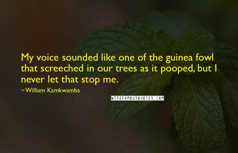 William Kamkwamba Quotes: My voice sounded like one of the guinea fowl that screeched in our trees as it pooped, but I never let that stop me.