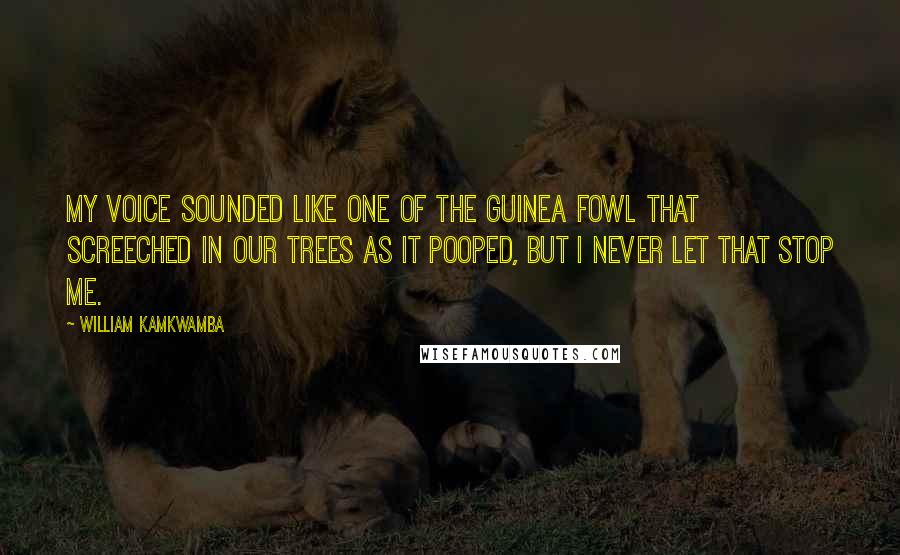 William Kamkwamba Quotes: My voice sounded like one of the guinea fowl that screeched in our trees as it pooped, but I never let that stop me.