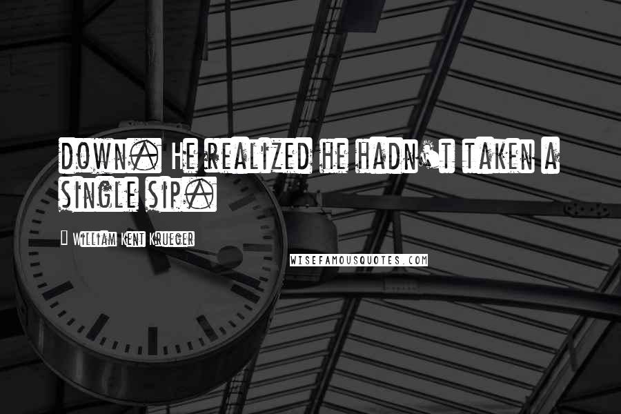 William Kent Krueger Quotes: down. He realized he hadn't taken a single sip.