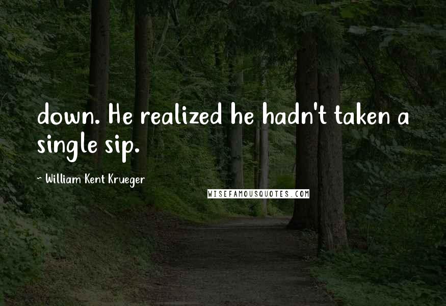 William Kent Krueger Quotes: down. He realized he hadn't taken a single sip.