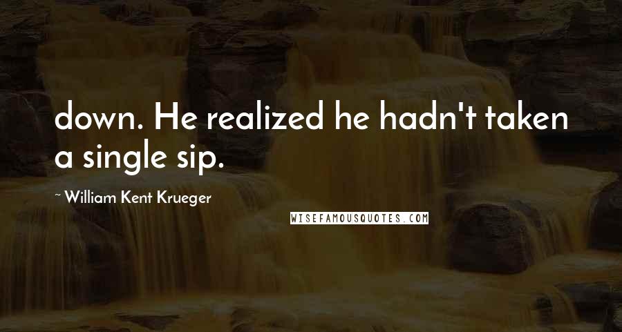 William Kent Krueger Quotes: down. He realized he hadn't taken a single sip.