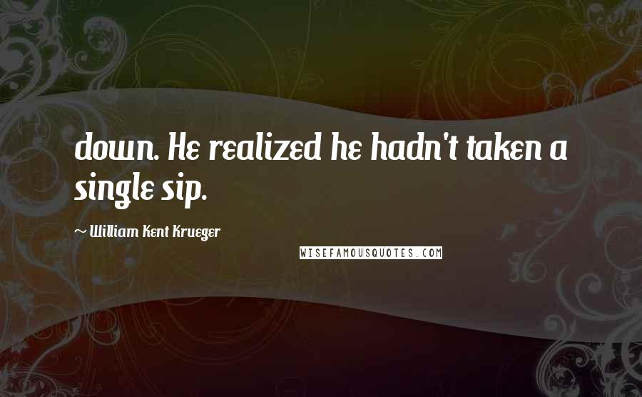 William Kent Krueger Quotes: down. He realized he hadn't taken a single sip.