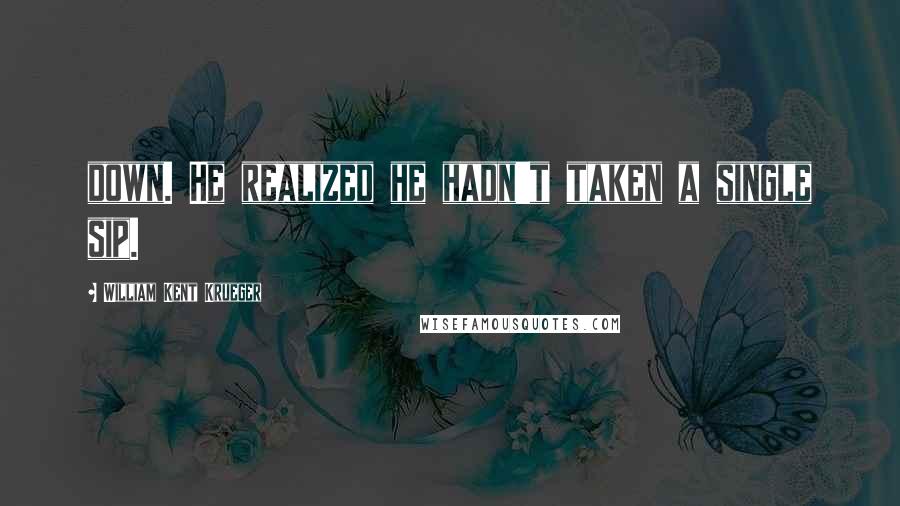 William Kent Krueger Quotes: down. He realized he hadn't taken a single sip.
