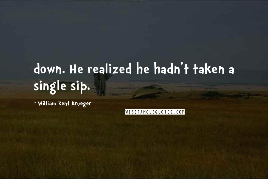 William Kent Krueger Quotes: down. He realized he hadn't taken a single sip.