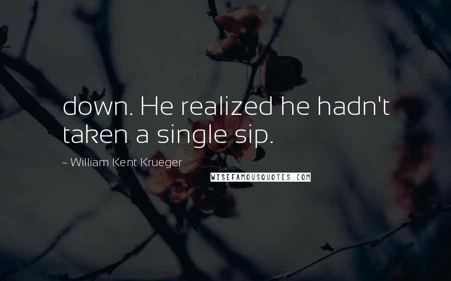 William Kent Krueger Quotes: down. He realized he hadn't taken a single sip.